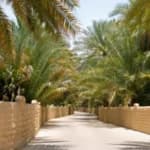Al Ain