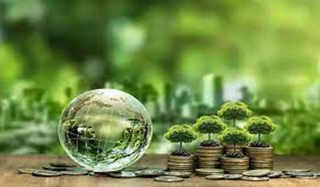 Course in Sustainable Investment