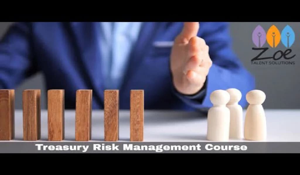 Course in Treasury and Risk Management 