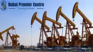 Course in Oil & Gas and Petrochemical Accounting & Performance Measurement