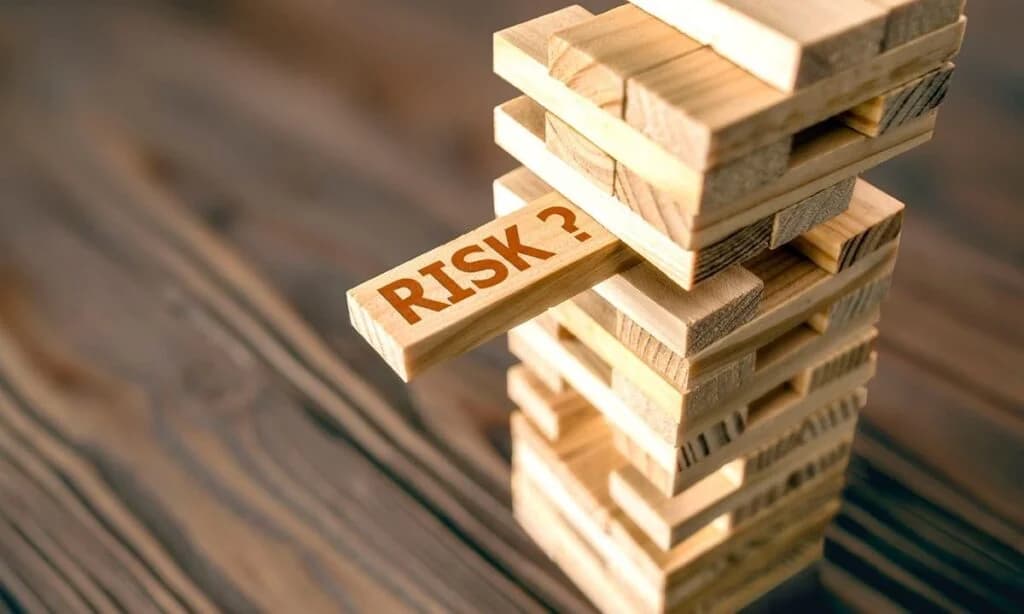 Course in the Investment Risk Management 